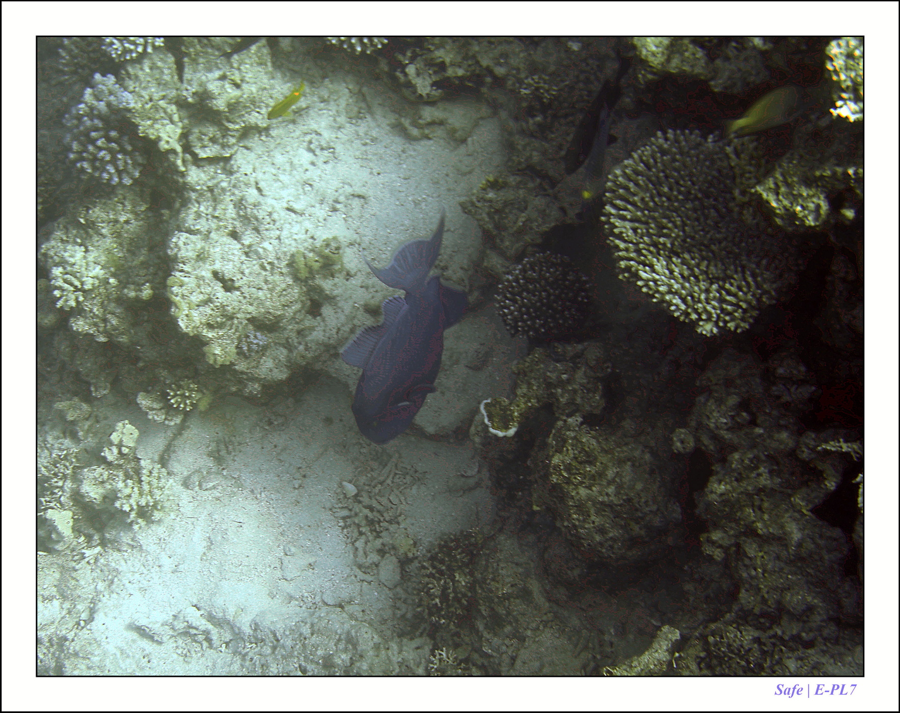 2023 - 03 - Charm El Sheikh - 10